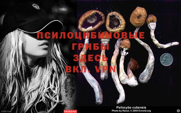 таблы Мегион