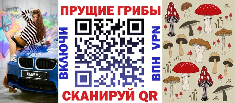 купить наркоту  Вологда  Псилоцибиновые грибы Psilocybine cubensis 