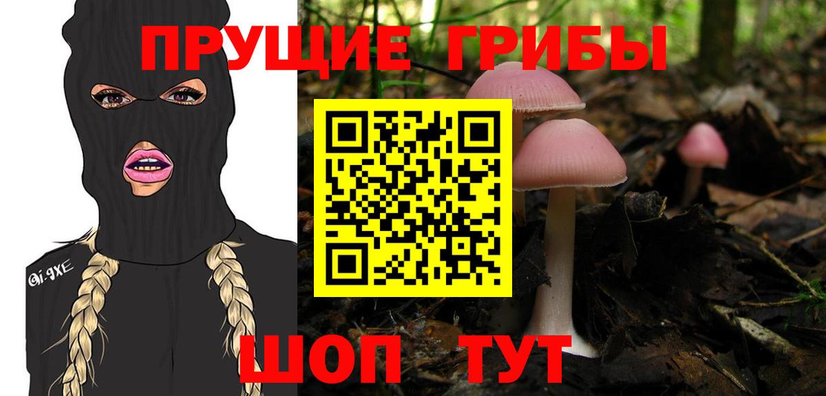 Галлюциногенные грибы MAGIC MUSHROOMS Вологда