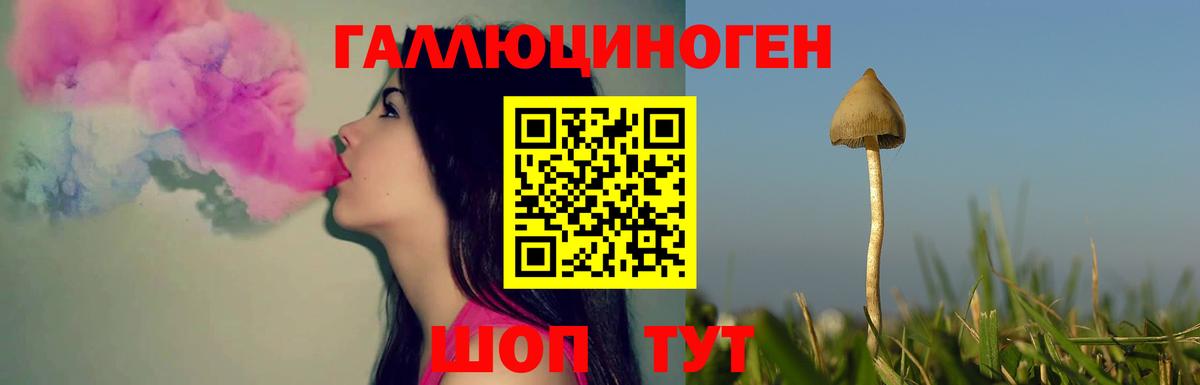 Галлюциногенные грибы ЛСД  Вологда  Галлюциногенные грибы Cubensis 