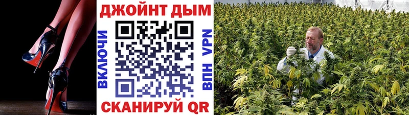 Шишки марихуана White Widow  Вологда 